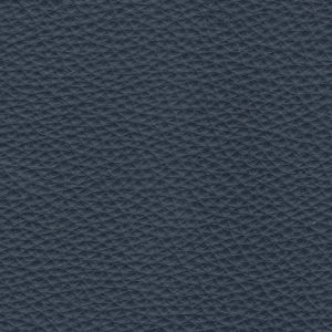 Prestige Navy