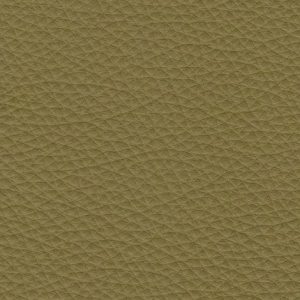 Prestige Olive